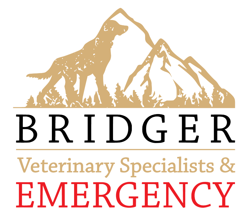 Bridger Veterinary Specialists