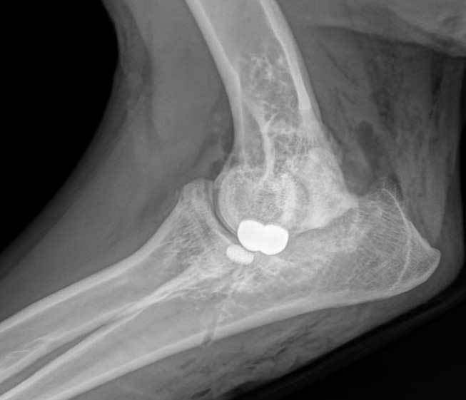 Digital Radiography