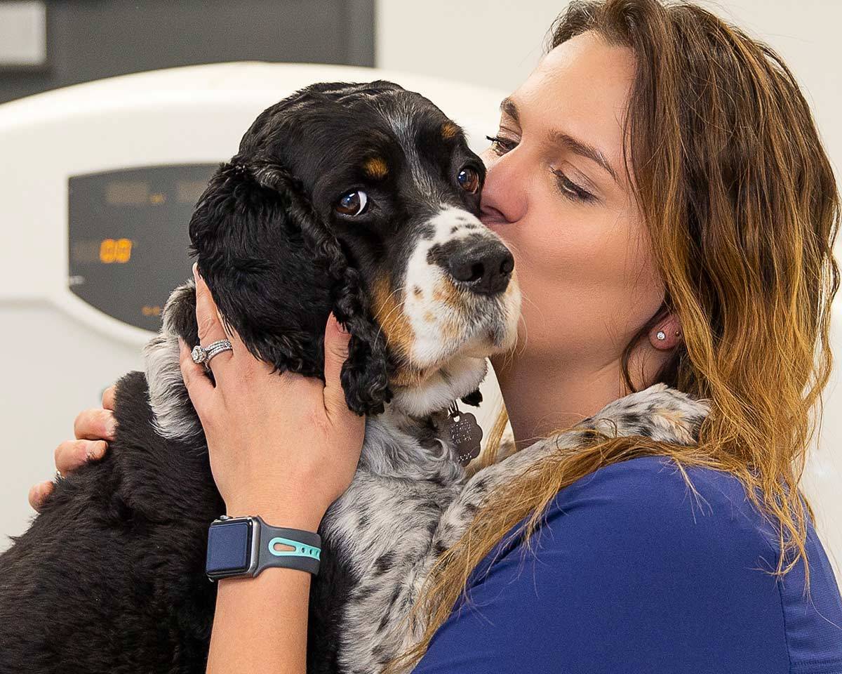 Oncology Services at Bridger Veterinary Specialists