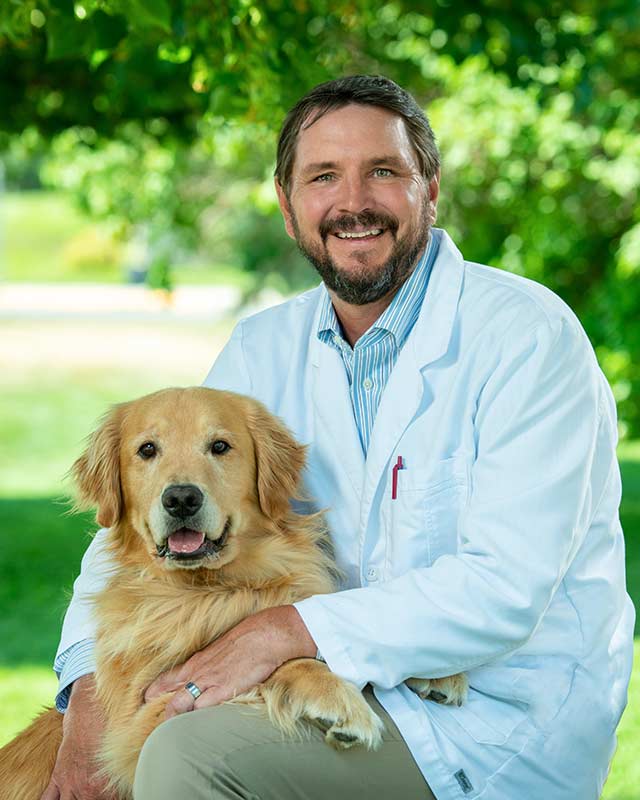 Dr. Britt Culver, DVM, DACVIM (SAIM)