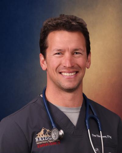 Dan Thomsen